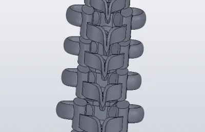 颈椎（脊椎）设计模型