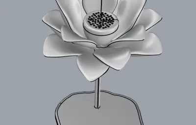 荷花灯具 台灯照明