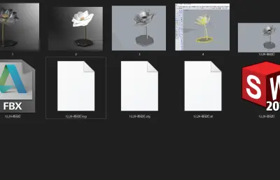 荷花灯具 台灯照明