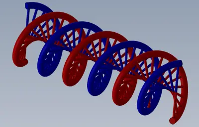 生物DNA简易模型