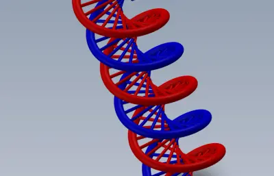 生物DNA简易模型