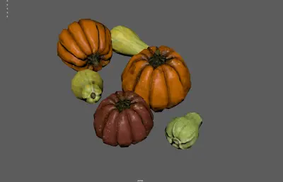 南瓜 蔬菜 葫芦科