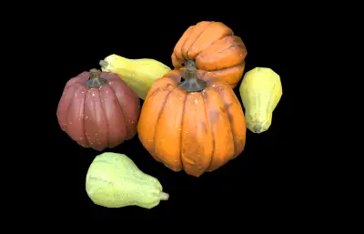 南瓜 蔬菜 葫芦科