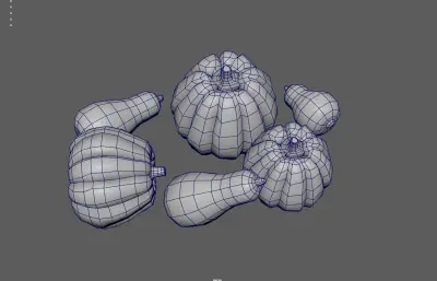 南瓜 蔬菜 葫芦科