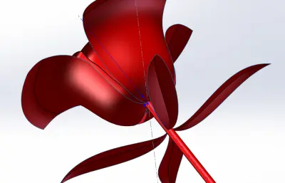 一朵带叶玫瑰花