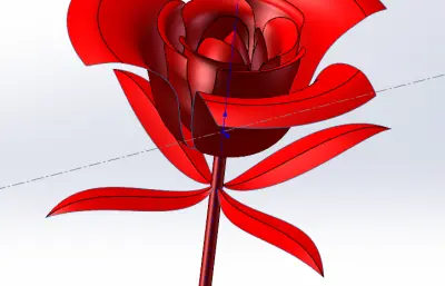 一朵带叶玫瑰花