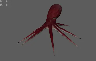 章鱼 八爪鱼 深海鱿鱼