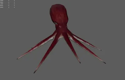 章鱼 八爪鱼 深海鱿鱼