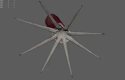 章鱼 八爪鱼 深海鱿鱼