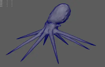 章鱼 八爪鱼 深海鱿鱼