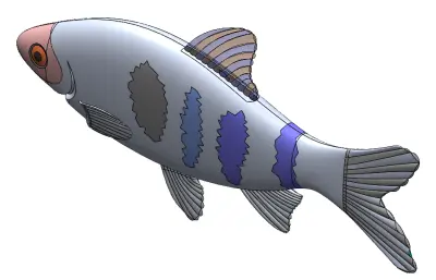 鱼简易模型