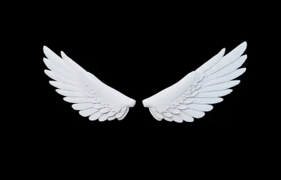 天使翅膀 卡通白色翅膀 天使之翼