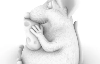 2020年鼠的模型图1