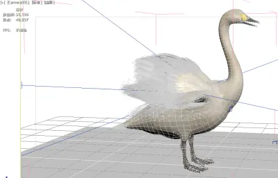 天鹅 动物 水禽