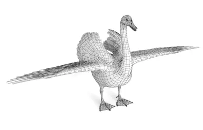 天鹅 动物 水禽