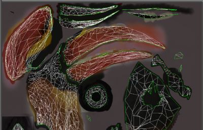 棕犀鸟,Rufous Hornbill,犀鸟