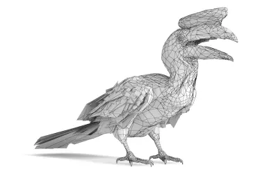 棕犀鸟,Rufous Hornbill,犀鸟