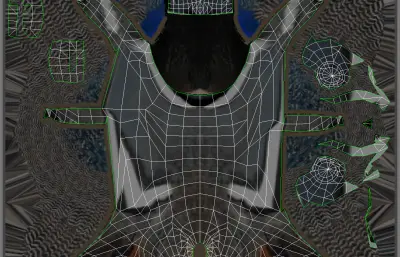 丑鸭 花脸海番鸭 海鸭