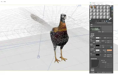 白冠长尾雉3dmax模型