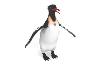 Anthropornis,巨型企鹅,史前企鹅,古生物