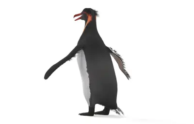 Anthropornis,巨型企鹅,史前企鹅,古生物