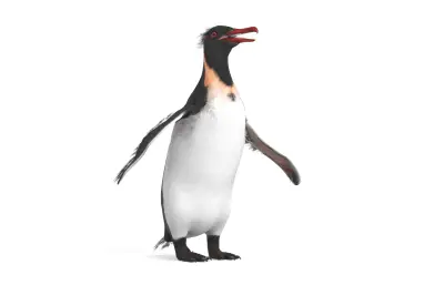 Anthropornis,巨型企鹅,史前企鹅,古生物