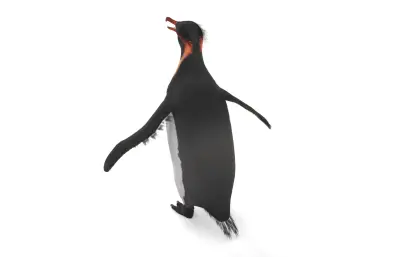 Anthropornis,巨型企鹅,史前企鹅,古生物