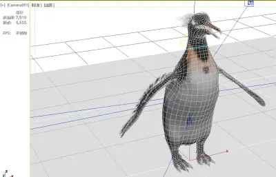 Anthropornis,巨型企鹅,史前企鹅,古生物