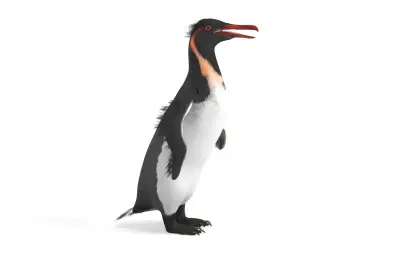 Anthropornis,巨型企鹅,史前企鹅,古生物