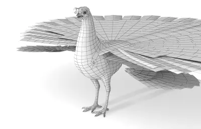 孔雀开屏 鹌鹑模型 加州鹌鹑