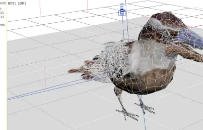 笑翠鸟, 笑狗鱼鴗, 澳洲鸟类