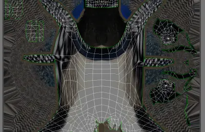 普通潜鸟 加拿大国鸟 野生水鸟