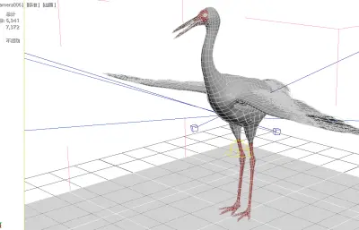 白鹤, 西伯利亚鹤, 雪鹤