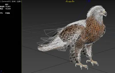 红鸢 赤鸢 红雕欧洲猛禽