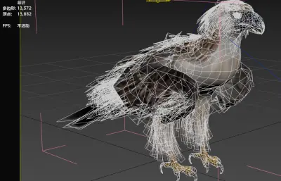 菲律宾食猿雕 菲律宾鹰 大型猛禽