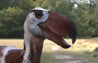 远古恐鸟,骇鸟,恐怖鸟max模型