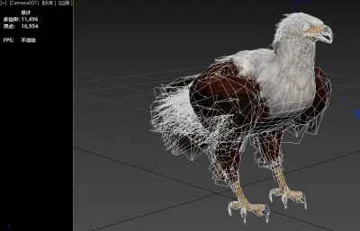 非洲海雕 非洲鱼雕 吼海雕3dmax模型