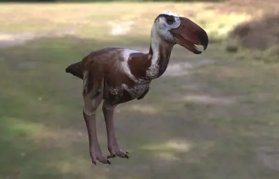 远古恐鸟,骇鸟,恐怖鸟max模型