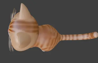 大眼萌猫，可爱小猫咪