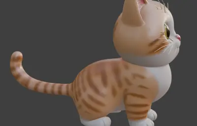 大眼萌猫，可爱小猫咪