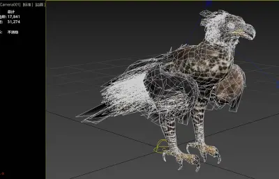 冠雕 非洲冠雕 冕雕