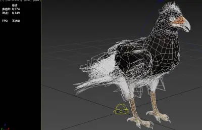 山卡拉鹰 山凤头 卡拉鹰