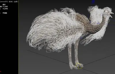 小美洲鸵 lesser rhea 美洲鸵