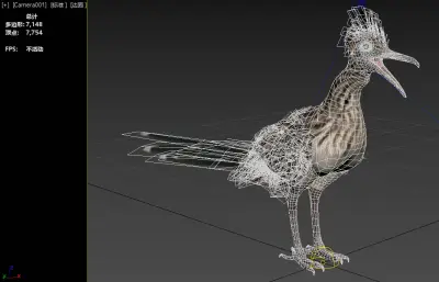 大走鹃 加州走鹃 地鹃