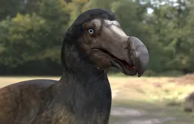 渡渡鸟 毛里求斯渡渡鸟 愚鸠