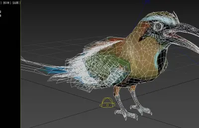 绿眉翠鴗 turquoise 眉翠鴗