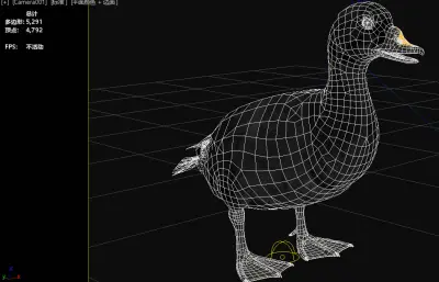 普通海番鸭 黑海番鸭 欧黑海番鸭