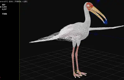 黄嘴鹮鹳 观赏鸟类3dmax模型
