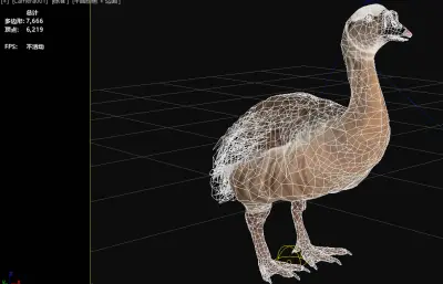 加加诺巨鹅 Gargano Giant Goose 已灭绝巨鹅类