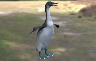 泰坦巨翼鸟 Copepteryx Titan 史前鸟类